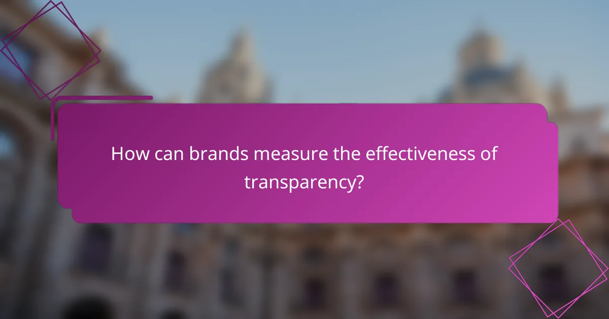 How can brands measure the effectiveness of transparency?