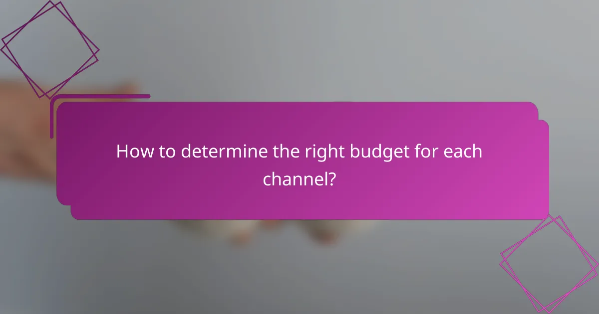 How to determine the right budget for each channel?