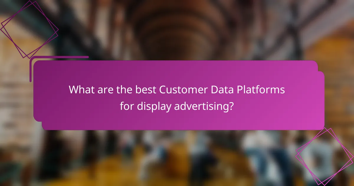 What are the best Customer Data Platforms for display advertising?